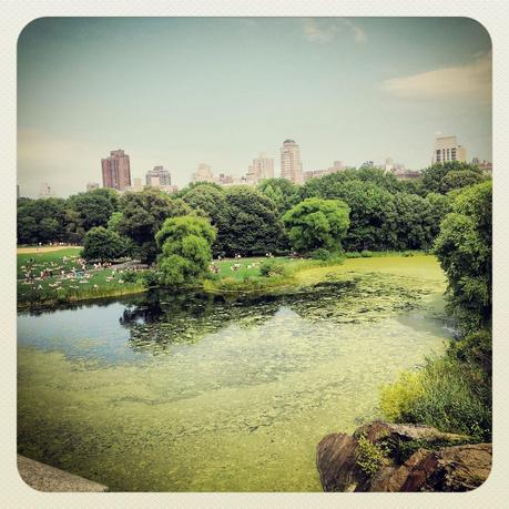 View from Belvedere Castle, Central Park