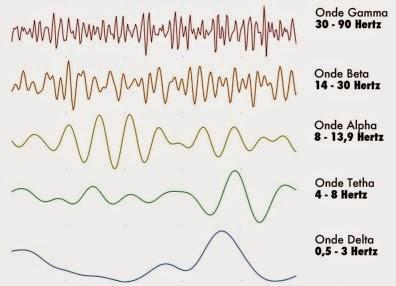 Le onde cerebrali : introduzione