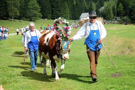 Rientro dall'alpeggio: festa grande in Vallunga!