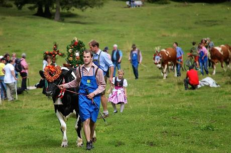 Rientro dall'alpeggio: festa grande in Vallunga!