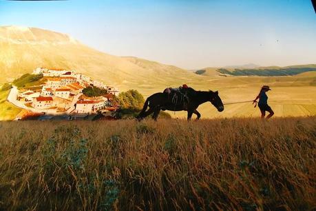 Sensational Umbria by Steve Mc Curry