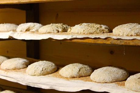 La mia #albeinmalga: a scuola di frittelle e pane fatto in casa!