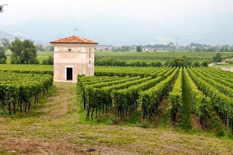 Cantina Guido Berlucchi Franciacorta