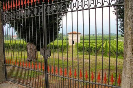 Cantina Guido Berlucchi Franciacorta