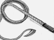 Fare nesci, fare lombi, frangia, frusta proprio culo, specie, bella chiappa Parole verbi disuso