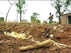 Google Science Fair 2014 con il progetto Combating The Global Food Crisis