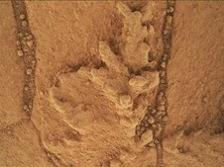 Insolite rocce sul suolo marziano(video: il rover Curiosity  sul monte Sharp)