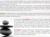 Corso formazione operatori Shiatsu