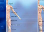 FisioApp, prima sulla fisioterapia