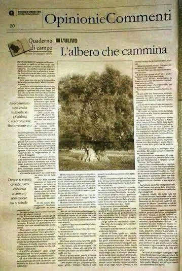 Gli alberi che camminano