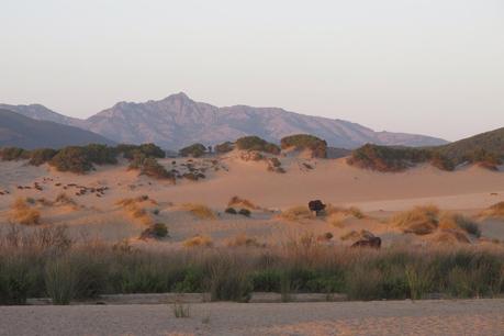 Sardegna Sud Ovest: qualche consiglio