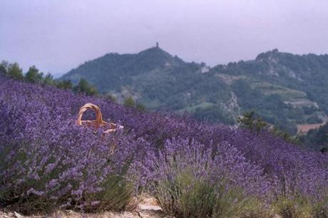 Merana (AL), Italia