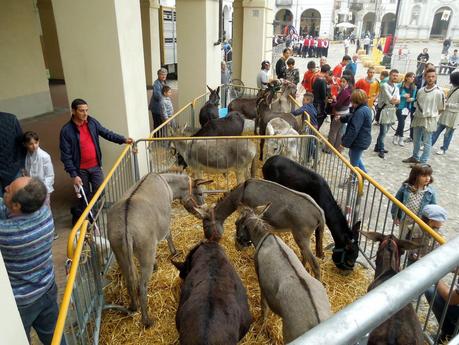 Il Palio dei Borghi