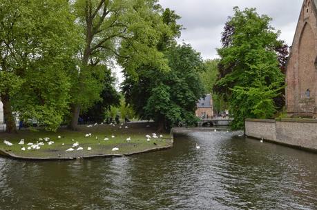 Lago Minnewater