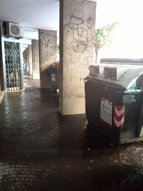 Noi seppelliti dietro ai cassonetti nei nostri condomini a causa del mercato di Porta Portese