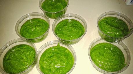 PESTO DI RUCOLA