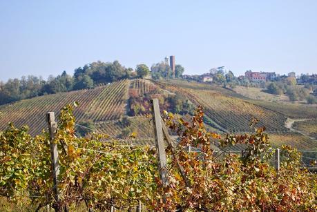 CONSENTITA LA CESSIONE DI VINACCE TRA DISTILLERIE