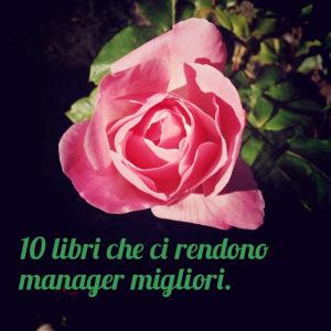 blog.stefaniademetz.com - 10 libri per un buon management