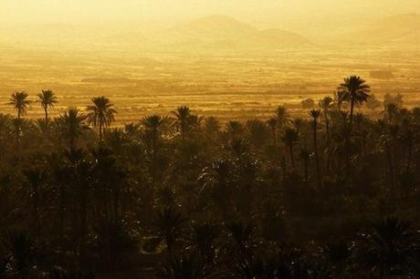 Moroccan Landscape 579px