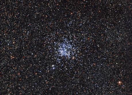 The Wild Duck Cluster