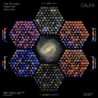 La figura riassume le vastissime potenzialità della survey CALIFA. Al centro si vede come l’immagine di una galassia viene decomposta in un gran numero di regioni, la cui luce viene portata allo spettrografo PMAS-PPAK da fasci di fibre ottiche, per poi essere scomposta nelle diverse lunghezze d’onda. I contorni esagonali riproducono il campo di vista dello strumento. Nell’esagono superiore al centro sono riprodotte le immagini a colori di alcune galassie osservate da CALIFA: si riconoscono le svariate morfologie (spirali, ellittiche e irregolari) che compongono il campione studiato. Negli altri esagoni sono riprodotte le mappe delle proprietà fisiche derivati dagli spettri ottenuti regione per regione. Le varie mappe si corrispondono in tutti gli esagoni. Crediti: R. Garcia-Benito, F. Rosales-Ortega, E. Pérez, C.J. Walcher, S. F. Sanchez and the CALIFA team