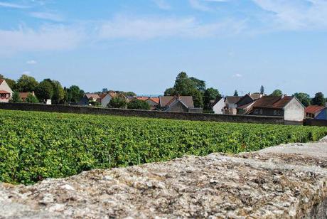 Le vigne fin dentro al paese di Gevrey-Chambertin