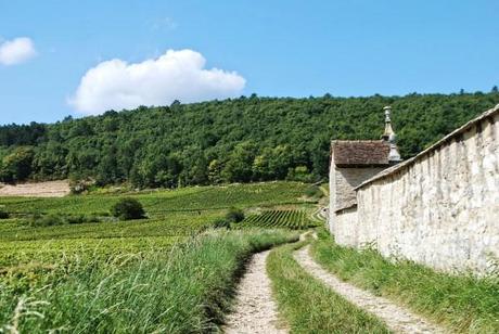 Un clos borgognone (foto di Patrick Colgan)