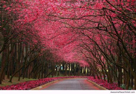 Burgundy Street, Madrid