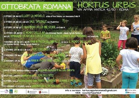 gs749_OTTOBRATA-ROMANA-2014-w