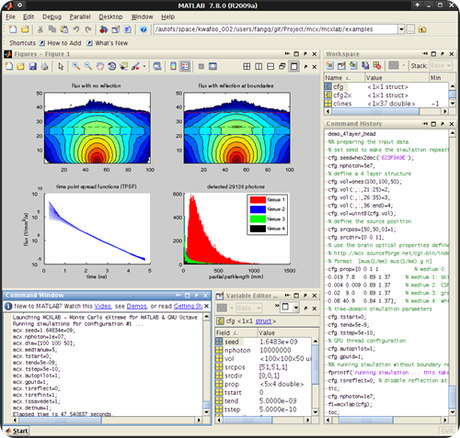 matlab_mcxlab