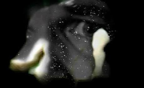 1977_Salvatore Insana_WHITE RIOT still4