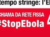 Stop ebola