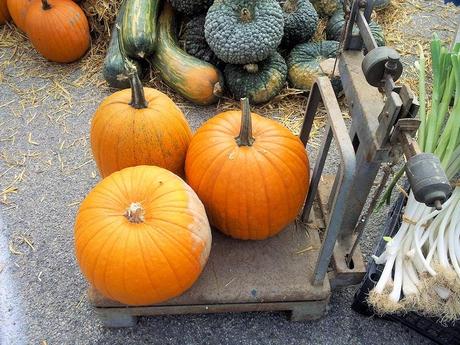 La zucca delle meraviglie