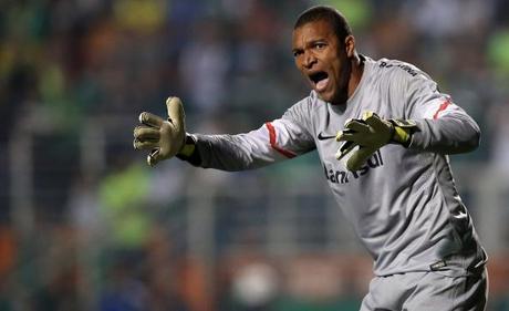 Palmeiras v Internacional - Brasileirao Series A 2014