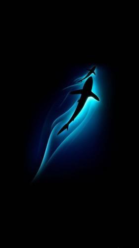 Ecco tre sfondi per iPhone 6/6 Plus e iPhone 5/5S/5C Sharks Ocean-iPhone 6 plus-wallpaper-applefive_net