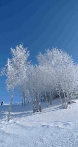 Ecco tre sfondi per iPhone 6/6 Plus e iPhone 5/5S/5C natura inverno-iphone-5s-parallax-wallpaper-applefive_net