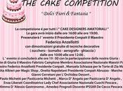 Cake Competition