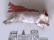 Ching Diario Bordo Come lasciare vostra domanda commenti post