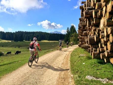 Mountain bike - Folgaria, Trentino, Italia