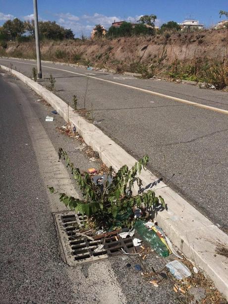 Video. Sindaco ciclista un fico secco! Roma sta subendo anzi un declino ciclabile. Ecco le condizioni delle pista nella periferia est e sulla Colombo