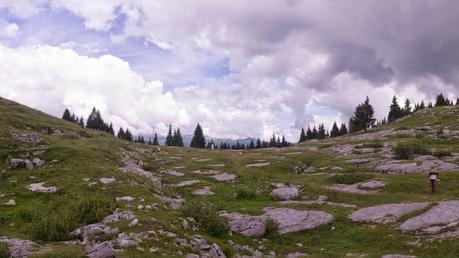 Selletta Stringa a Monte Fior Tra le trincee di Monte Fior (Asiago)