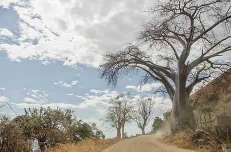 Mozambico 9:  Il lago delle stelle