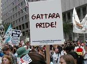 Gattare