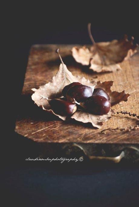 Tag: The Ultimate Autumn Challenge -Le cose preferite dell’autunno chetsnut