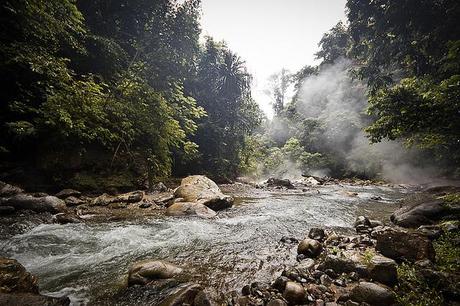 Gunung Leuser National Park - Indonesia