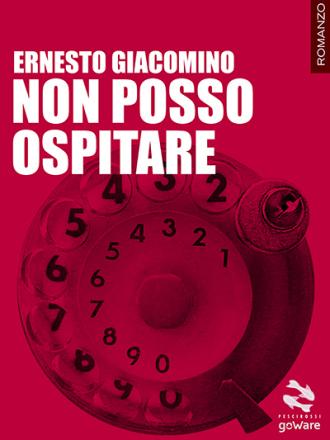 EGiacomino_non_posso_ospitare_400