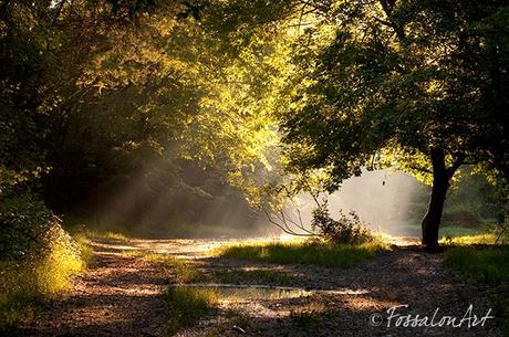 Fotografia - raggi di sole sul sentiero