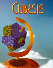 Cover Cubesis