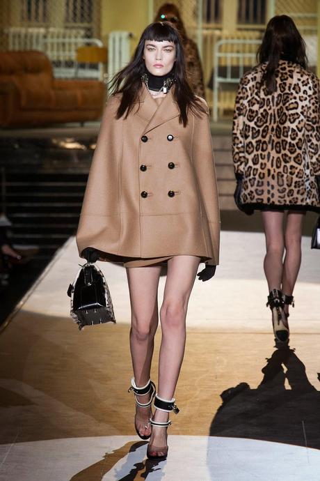 Super tendenza dell'autunno 2014:la cappa!