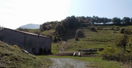 Sabato 4 ottobre: Il Tobbio da Molini di Fraconalto (AL)